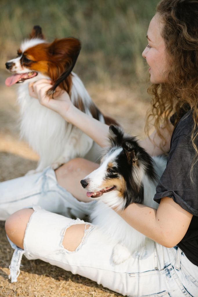 A woman petting a Papillon and Shetland Sheepdog outdoors, showcasing their camaraderie and joy.